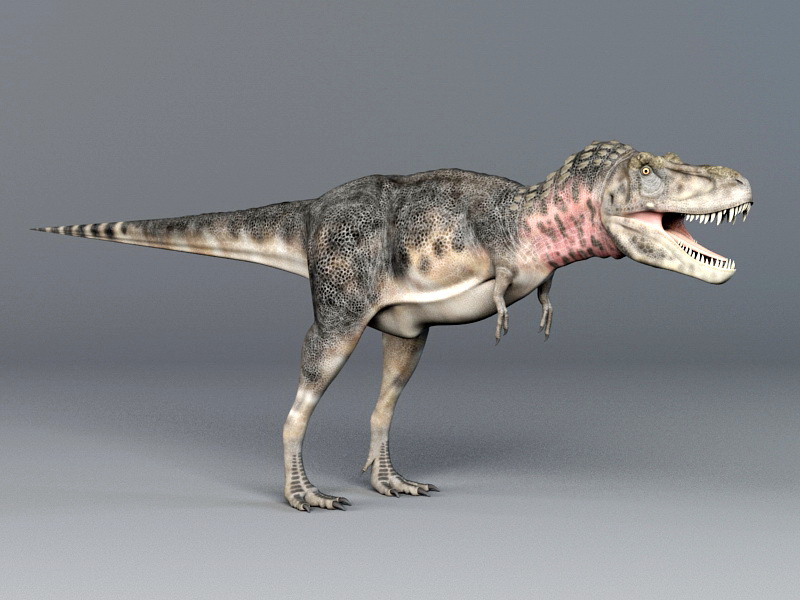 Tarbosaurus Dinosaur 3D model