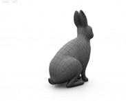 Common Rabbit 3d model