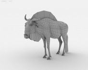 Wildebeest 3d model