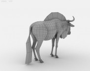 Wildebeest 3d model