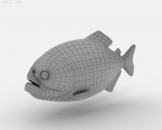 Red-Bellied Piranha 3d model