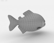 Red-Bellied Piranha 3d model