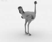 Ostrich 3d model