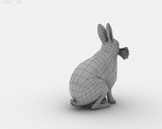 Arctic Hare 3d model