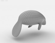 West Indian Manatee 3d model