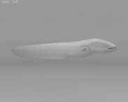 Electric Eel 3d model