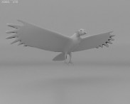 King Vulture 3d model