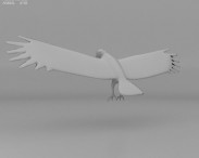 King Vulture 3d model