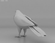 Red-Shouldered Hawk 3d model