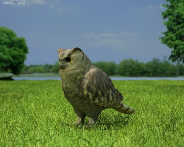 Eurasian Eagle-Owl 3D Model