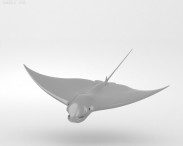 Spotted Eagle Ray 3d model