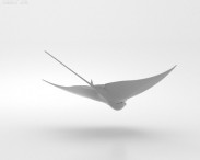 Spotted Eagle Ray 3d model