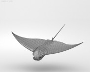 Spotted Eagle Ray 3d model