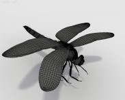 Dragonfly HD 3d model