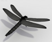 Dragonfly HD 3d model