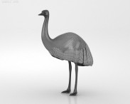 Emu 3d model