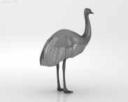 Emu 3d model