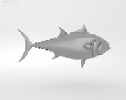 Atlantic Bluefin Tuna 3d model