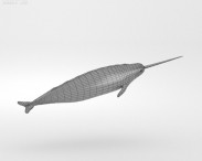 Narwhal 3d model