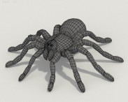 Tarantula HD 3d model