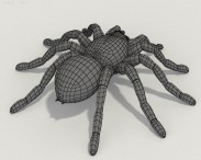 Tarantula HD 3d model