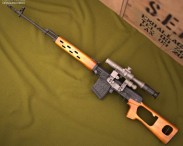 Dragunov Sniper Rifle (SVD)