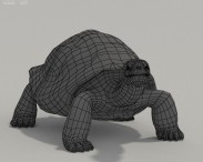 Galapagos Turtle HD 3d model