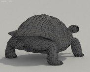 Galapagos Turtle HD 3d model