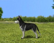 Siberian Husky Puppy 3d model