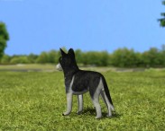 Siberian Husky Puppy 3d model