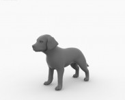 Labrador Retriever Puppy 3d model