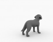 Labrador Retriever Puppy 3d model