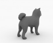 Chow Chow 3d model