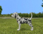 Dalmatian Puppy 3d model