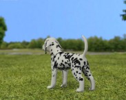 Dalmatian Puppy 3d model