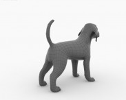 Dalmatian Puppy 3d model