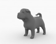 Shar Pei Puppy 3d model