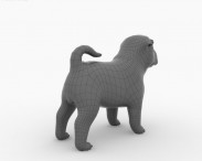 Shar Pei Puppy 3d model