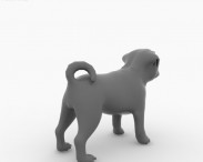 Pug Puppy 3d model