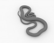 Common Python 3d model