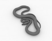 Common Python 3d model