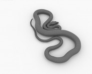 Common Python 3d model