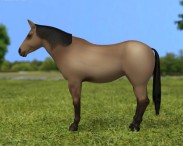 American Quarter Horse 3d model