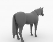 American Quarter Horse 3d model