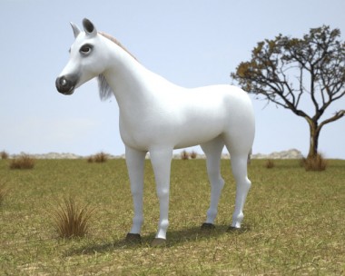 Arabian Horse