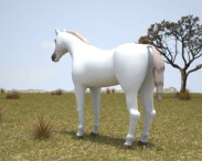 Arabian Horse 3d model