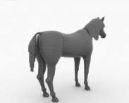 Arabian Horse 3d model