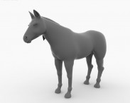 Thoroughbred 3d model