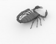 Emperor Scorpion 3d model