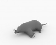 Star-Nosed Mole 3d model